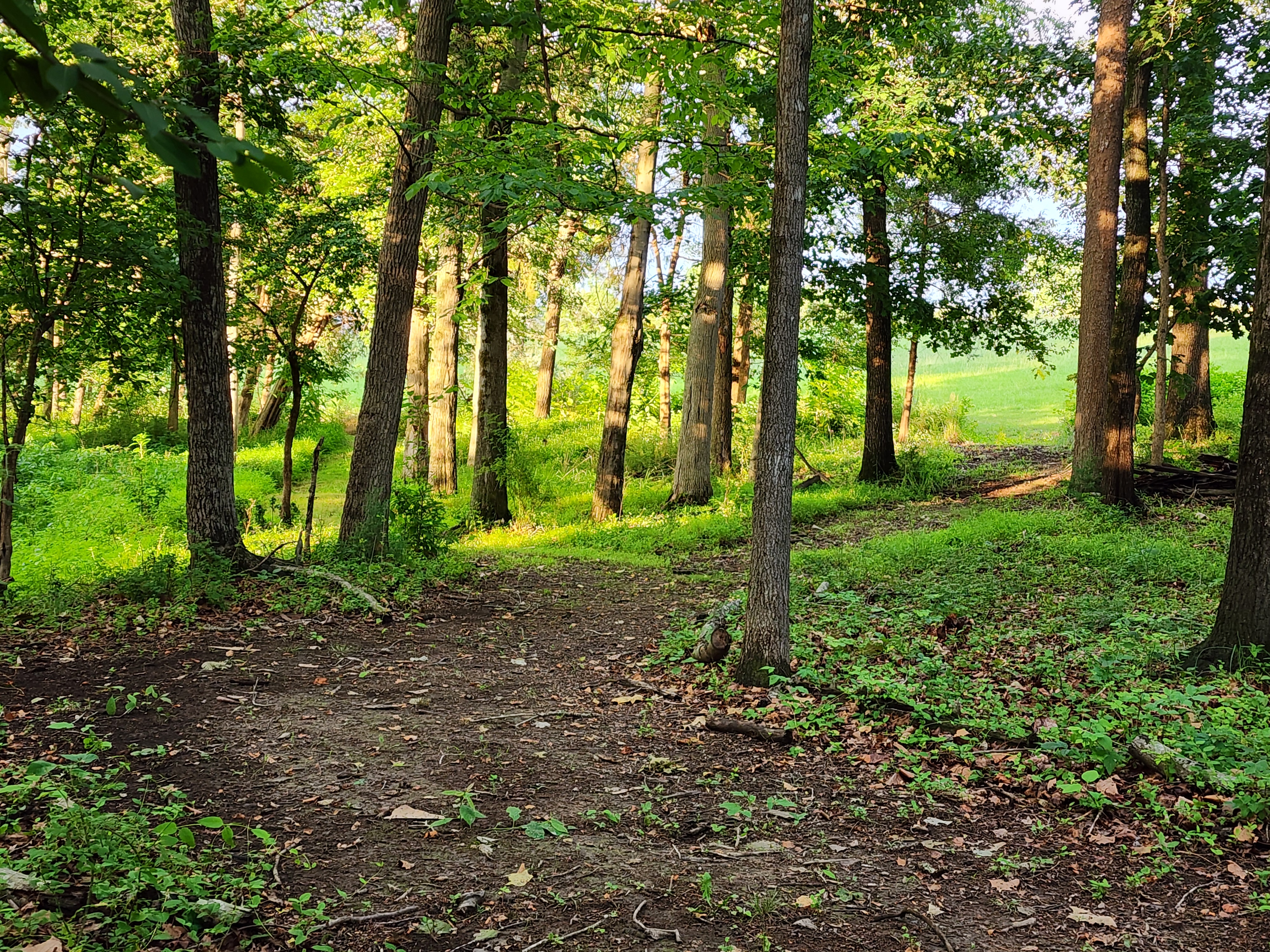 One of the trails that runs through the property.